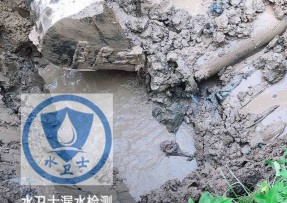 瑞昌水管漏水检测公司5